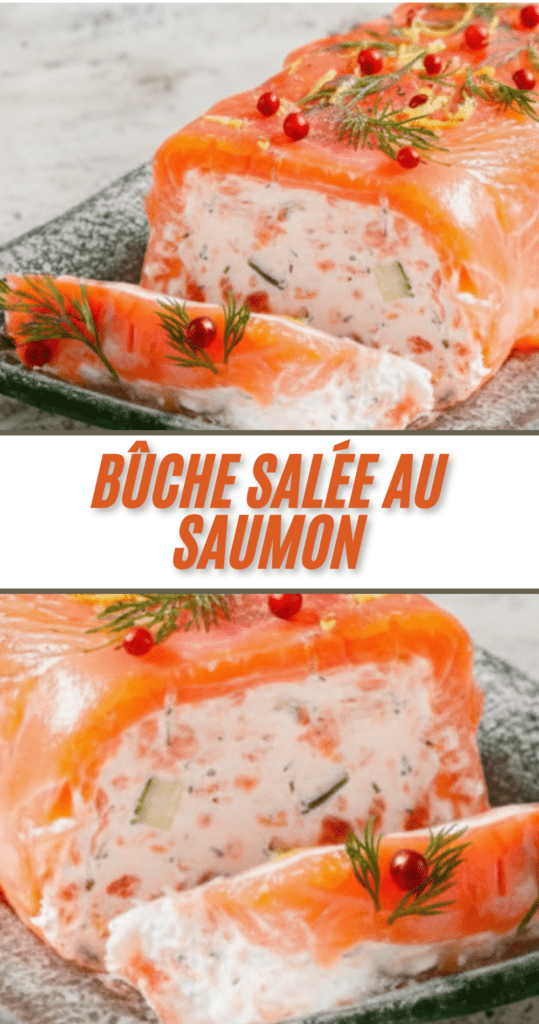 Tranches de bûche salée au saumon fumé et frais, au fromage de chèvre et concombre, décorées d’aneth et de citron vert sur un plat de fête