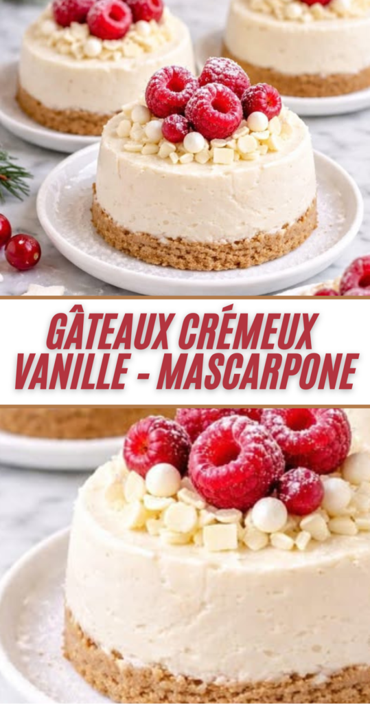 Petits gâteaux individuels crémeux à la vanille et au mascarpone sur base de biscuits, décorés de framboises et copeaux de chocolat blanc